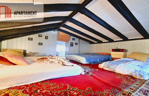 Piękna działka ROD Borówka |Niedaleko jeziora