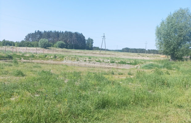 Dąbrowa Chełmińska działka 3072 m2