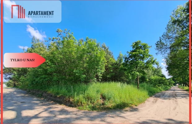 Zadrzewiona działka blisko Zalewu Koronowskiego