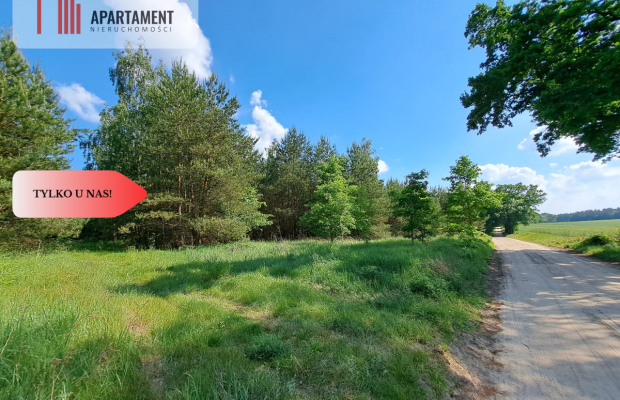 Zadrzewiona działka blisko Zalewu Koronowskiego