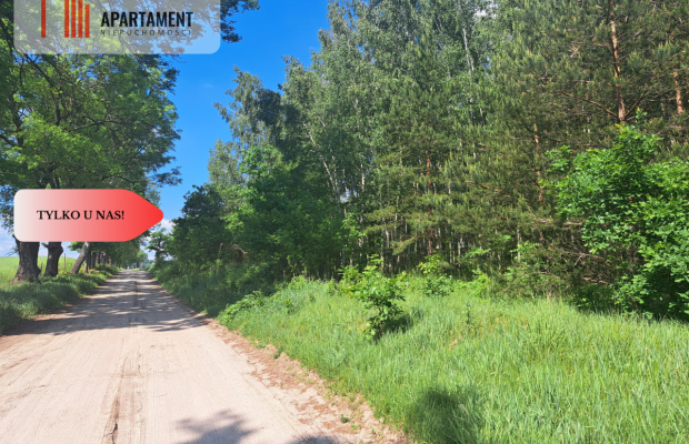 Zadrzewiona działka blisko Zalewu Koronowskiego