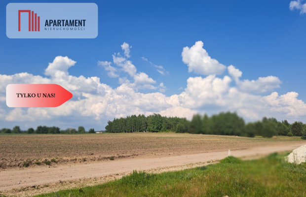 Zadrzewiona działka blisko Zalewu Koronowskiego