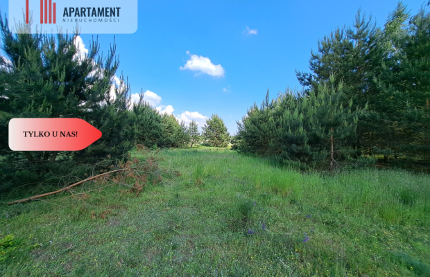 Zadrzewiona działka blisko Zalewu Koronowskiego