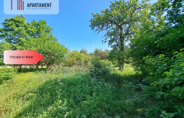 Zadrzewiona działka blisko Zalewu Koronowskiego