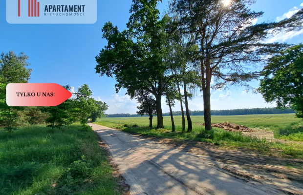 Zadrzewiona działka blisko Zalewu Koronowskiego