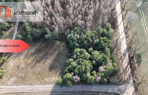 Zadrzewiona działka blisko Zalewu Koronowskiego