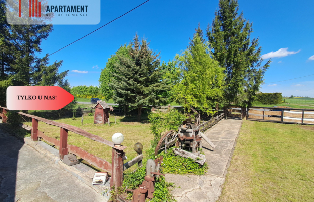 Tylko u nas! Poniatówka w Śmielinie