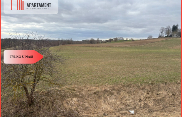 Działki z potencjałem  - Liniewskie Góry