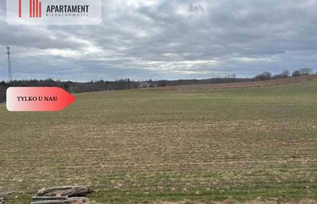 Działki z potencjałem  - Liniewskie Góry