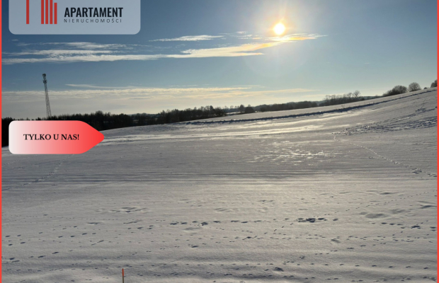 Działki z potencjałem  - Liniewskie Góry