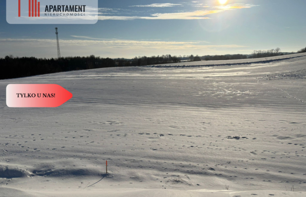 Działki z potencjałem  - Liniewskie Góry