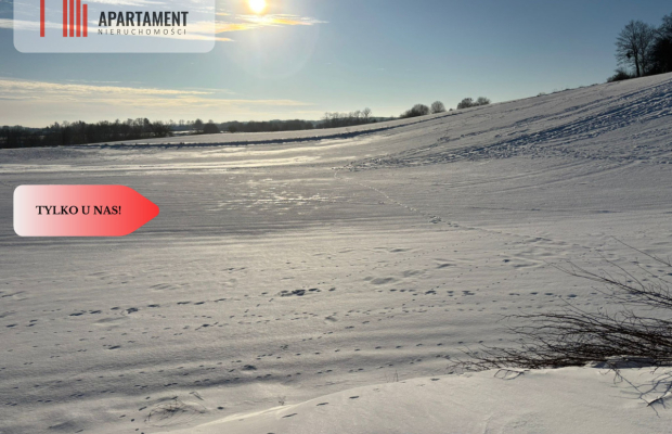 Działki z potencjałem  - Liniewskie Góry