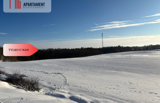 Działki z potencjałem  - Liniewskie Góry