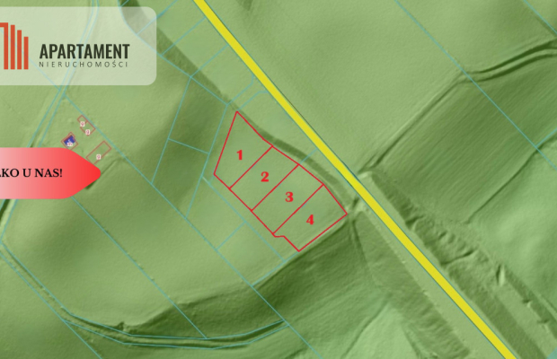 Działki z potencjałem  - Liniewskie Góry