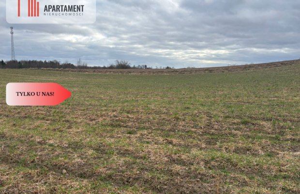 Działki z potencjałem  - Liniewskie Góry