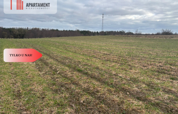 Działki z potencjałem  - Liniewskie Góry