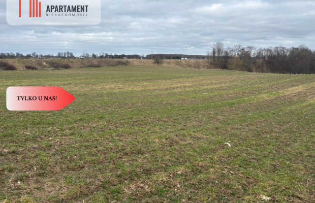 Działki z potencjałem  - Liniewskie Góry