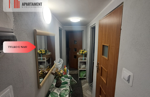 Piękna działka ROD w Żurczynie