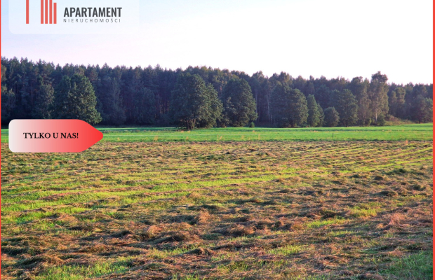 Ustronna działka - Twoja prywatna przestrzeń