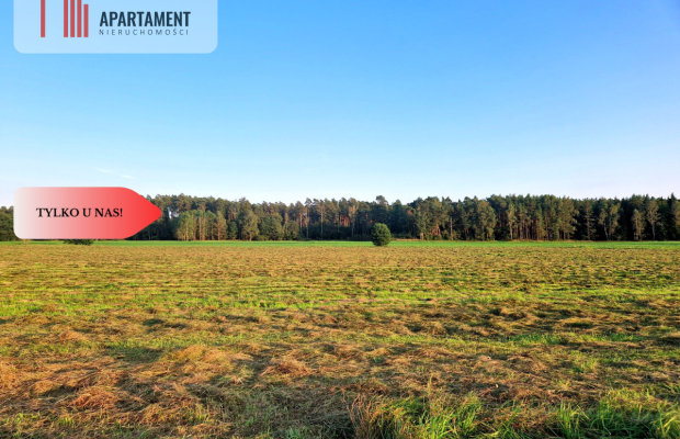 Ustronna działka - Twoja prywatna przestrzeń