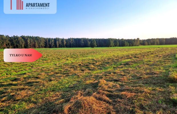 Ustronna działka - Twoja prywatna przestrzeń