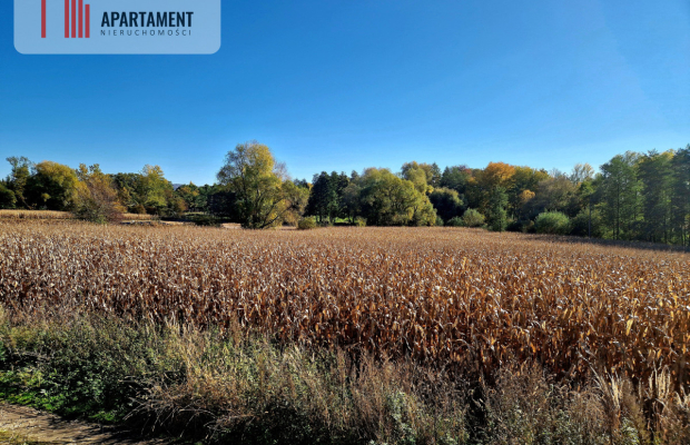 Działki budowlane Biały Kościół, gm. Strzelin