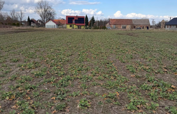 Działki budowlane w Chocianowcu, MPZP