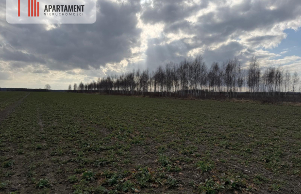 Działki budowlane w Chocianowcu, MPZP