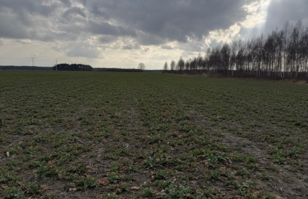 Działki budowlane w Chocianowcu, MPZP