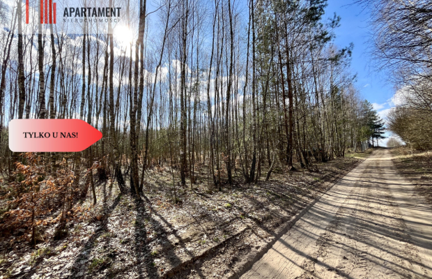 dwie działki po 1522m2 NAD JEZIOREM