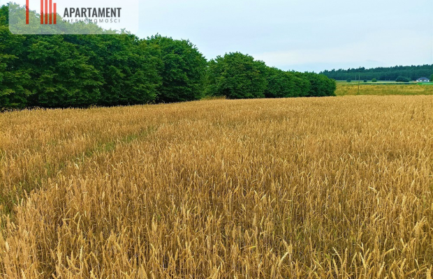 OKAZJA !!! OSÓWIEC DZIAŁKI BUDOWLANE 862m2