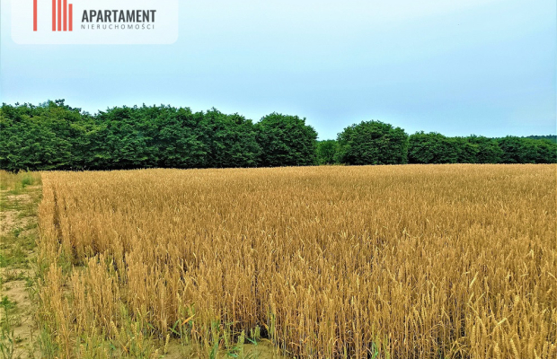 OKAZJA !!! OSÓWIEC DZIAŁKI BUDOWLANE 862m2