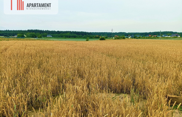 OKAZJA !!! OSÓWIEC DZIAŁKI BUDOWLANE 862m2