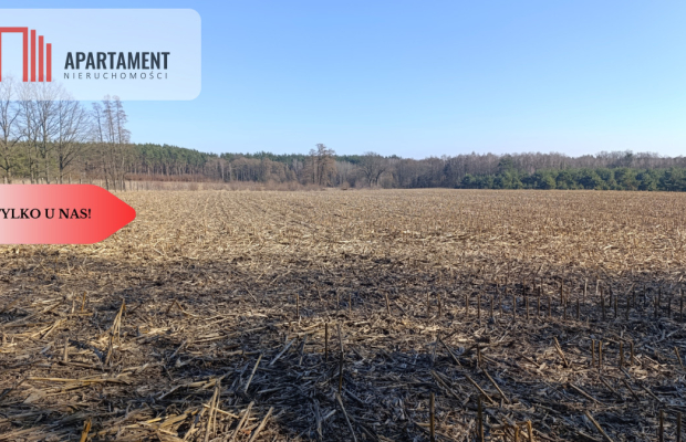 Grunt rolny/sad/pasieka/lokata kapitału/przestrzeń