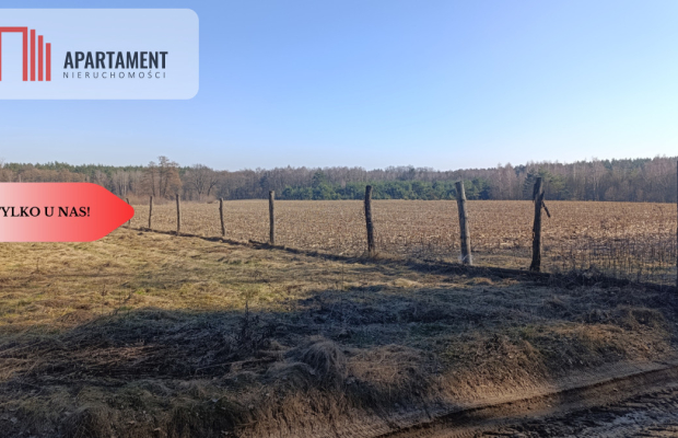 Grunt rolny/sad/pasieka/lokata kapitału/przestrzeń