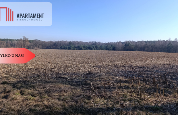 Grunt rolny/sad/pasieka/lokata kapitału/przestrzeń