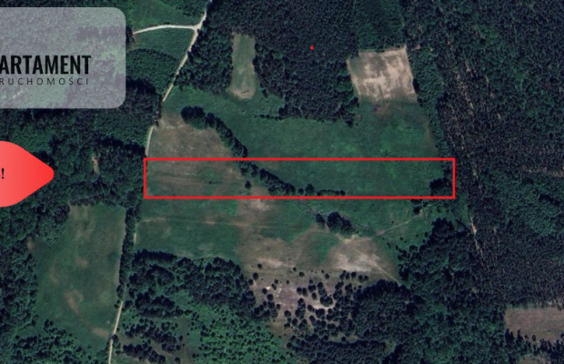 Grunt rolny/sad/pasieka/lokata kapitału/przestrzeń