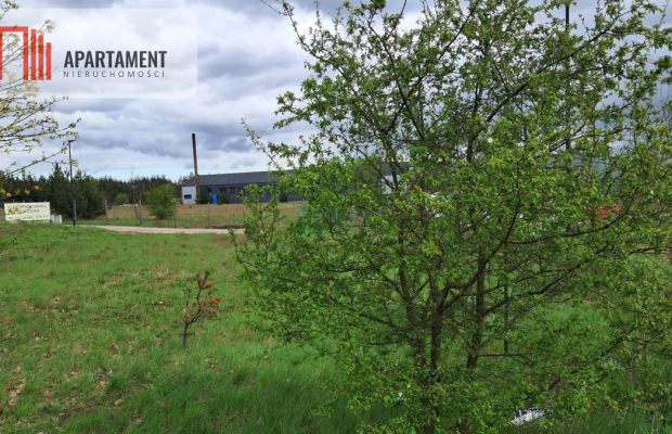 Działka budowlano-usługowa SKARSZEWY