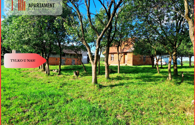 Tylko u nas! Siedlisko ze starymi zabudowaniami.