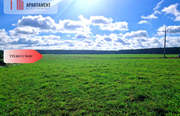 Tylko u nas! Siedlisko ze starymi zabudowaniami.