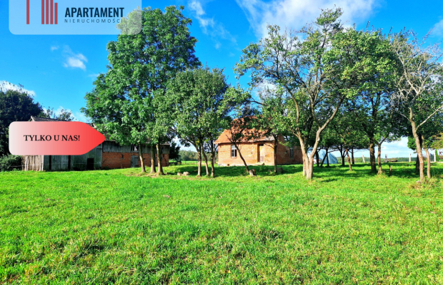 Tylko u nas! Siedlisko ze starymi zabudowaniami.