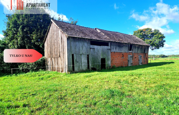 Tylko u nas! Siedlisko ze starymi zabudowaniami.