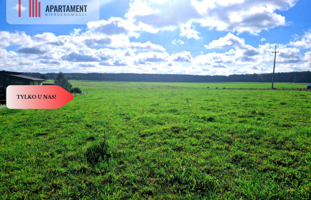 Tylko u nas! Siedlisko ze starymi zabudowaniami.