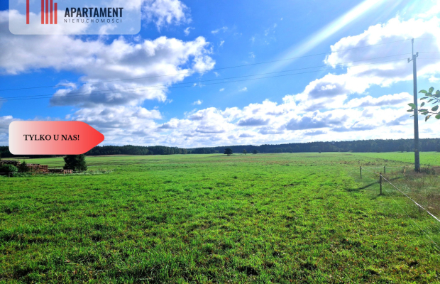 Tylko u nas! Siedlisko ze starymi zabudowaniami.