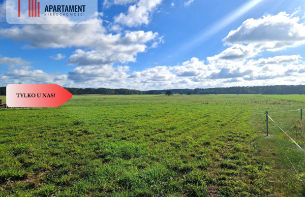 Tylko u nas! Siedlisko ze starymi zabudowaniami.