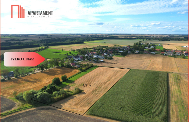 Tylko u nas !!! Działki ze stawem.