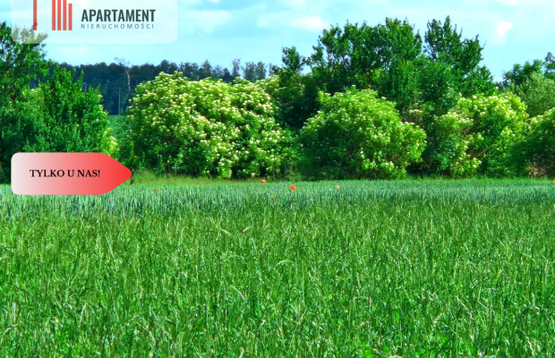 Tylko u nas !!! Działki ze stawem.