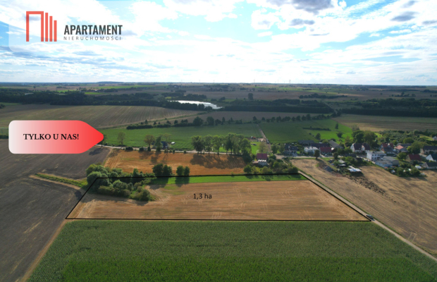 Tylko u nas !!! Działki ze stawem.