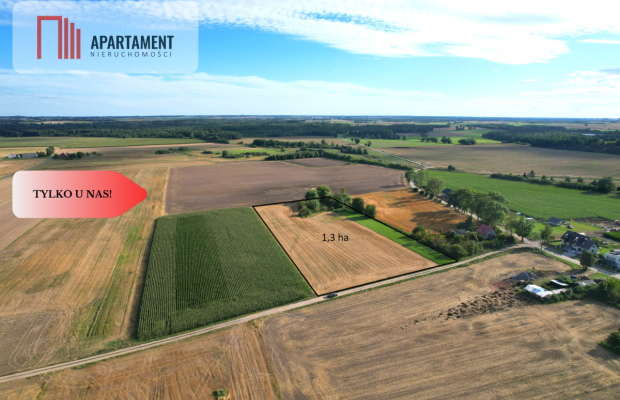 Tylko u nas !!! Działki ze stawem.