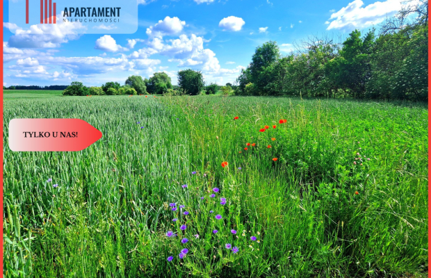 Tylko u nas !!! Działki ze stawem.